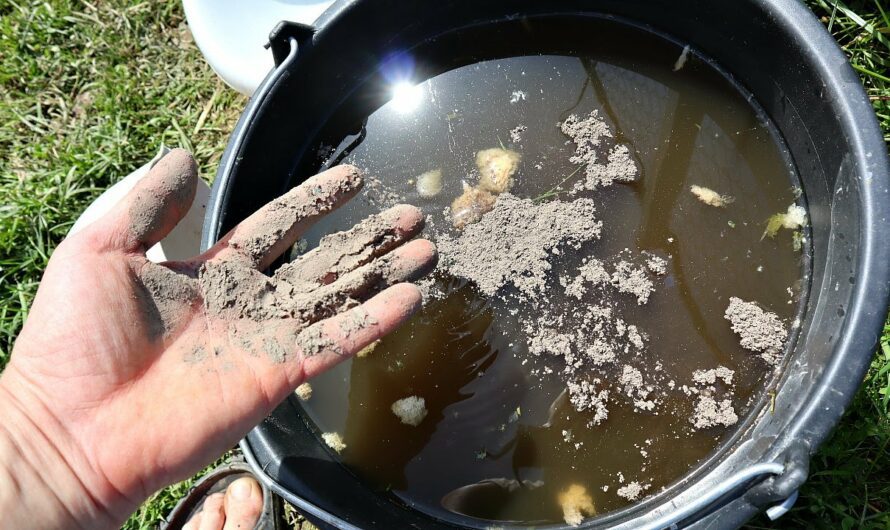 7 небезпечних помилок при підживленні рослин народними методами. Ніколи не робіть так