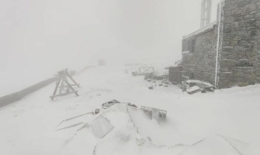 В Україні випав сніг та вдарив мороз до -3°С. Синоптики розповіли, чого чекати дальше