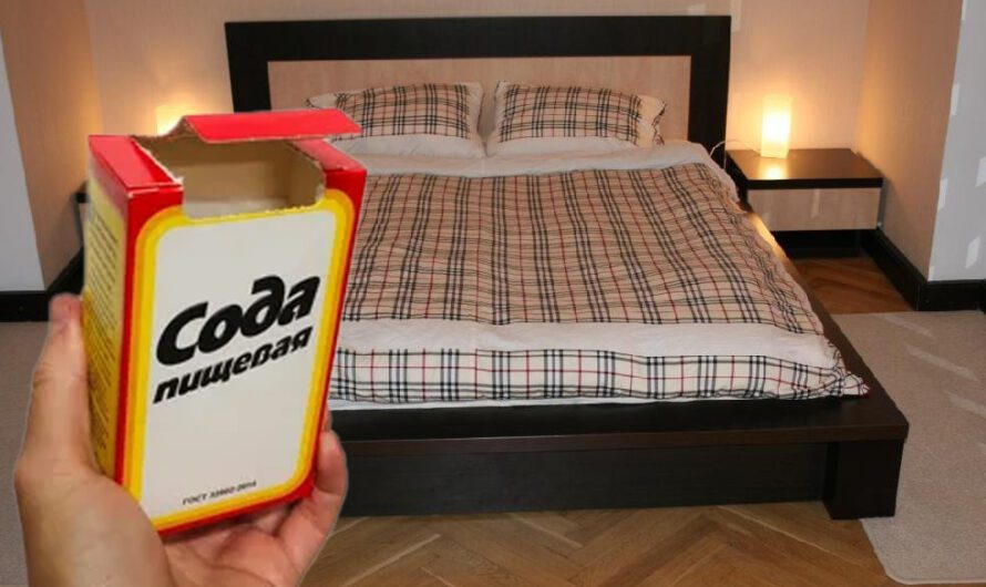 Для чого ставити соду під ліжко, та як правильно це робити. Має знати кожна господиня