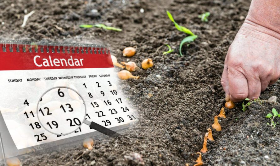 Посівний календар на квітень 2023 року. Сприятливі та не сприятливі дні