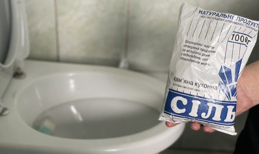 Чому кожного дня потрібно сипати сіль в унітаз. Секрети досвідчених господинь