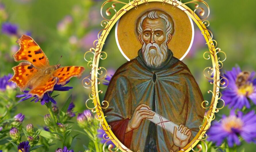 18 червня — святого Дорофія. Чого не варто робити в цей день усім християнам