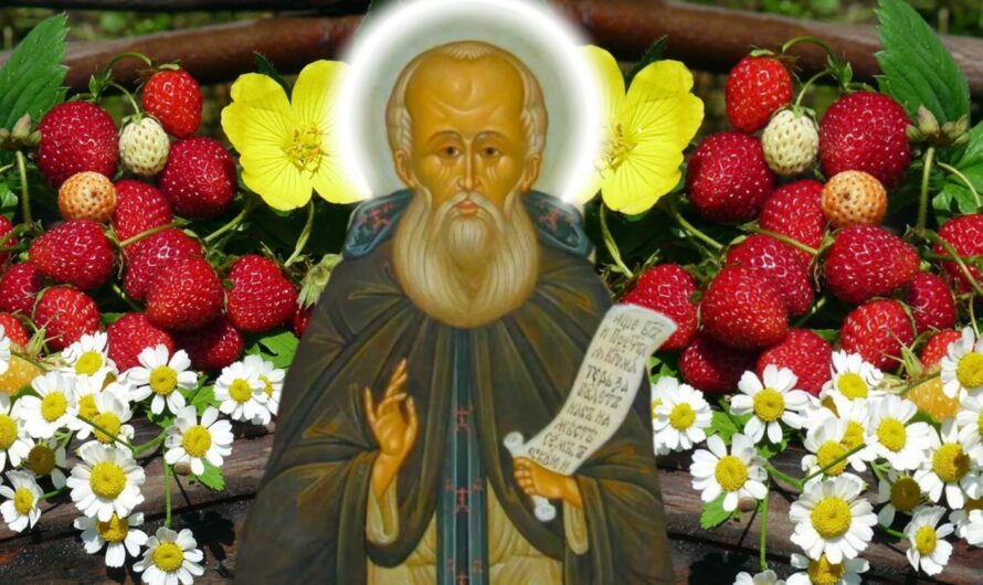 22 червня — Кирилів день, Сонцеворот. Що можна та чого не варто робити усім господарям