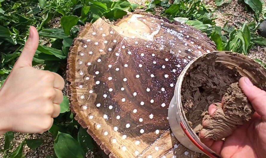 Від пня не залишиться й сліду. І не потрібно нічого корчувати