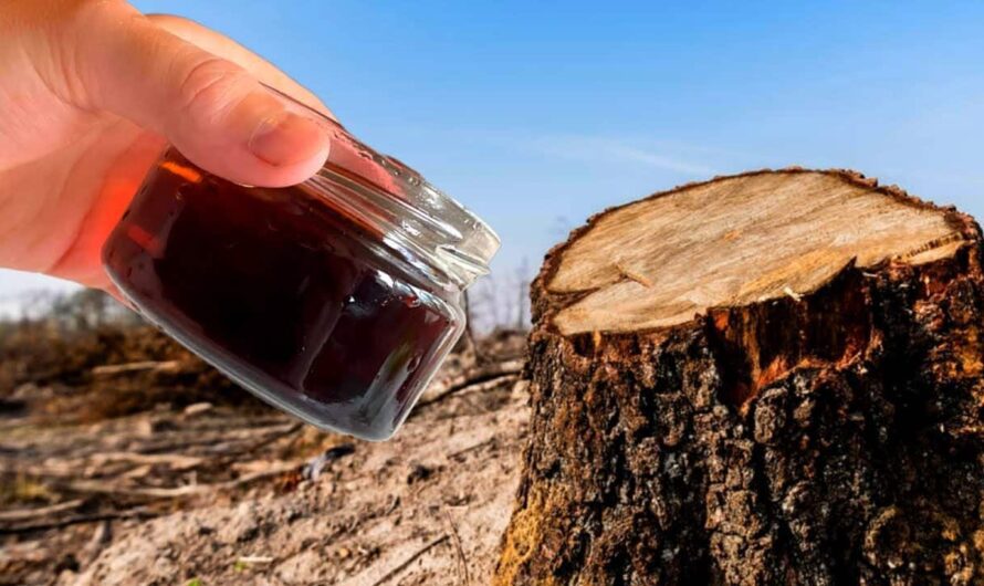 Полийте цим засобом пень, і вже через кілька тижнів від нього не залишиться й сліду