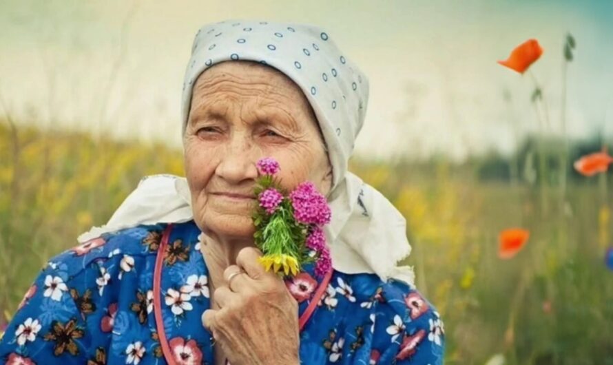 Мудрі поради з життя, які дала бабуся, згадую їх досі