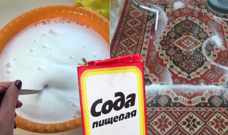 Простий та дієвий спосіб почистити килим від бруду та пилу. І в хімчистку не треба нести